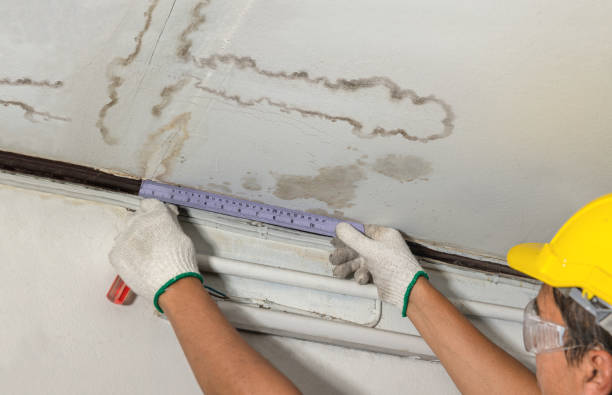 Reliable Water Damage contractor in Longmont, CO by Water Damage Irwin